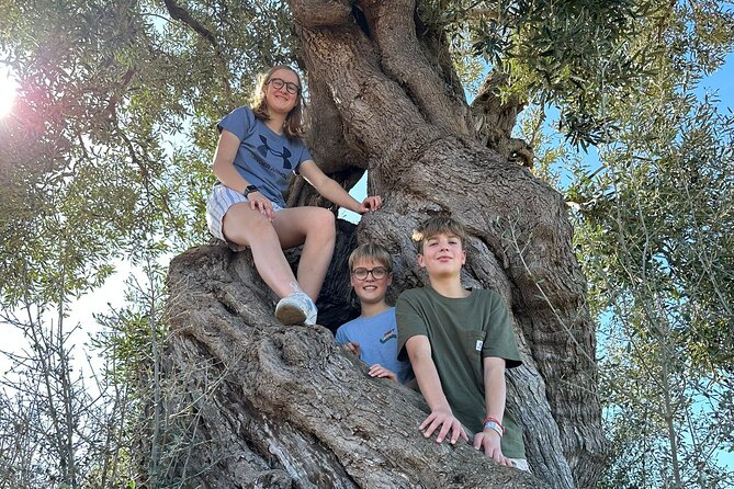 E-bike tour in Ostuni. Oil mill, Dolmen and huge olive trees - Starting in Montalbano, not central Ostuni