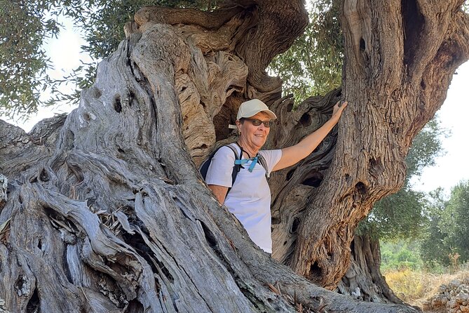 e-bike tour in the plain of the secular olive trees of Ostuni - Key points to know before booking