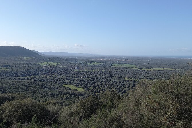e-bike tour in the plain of the secular olive trees of Ostuni - Rocco’s role makes a difference