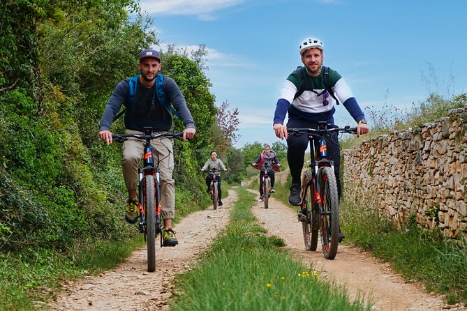 E Bike Tour with wine and olive oil tasting in Vodnjan - How much value do you get for $76.93?