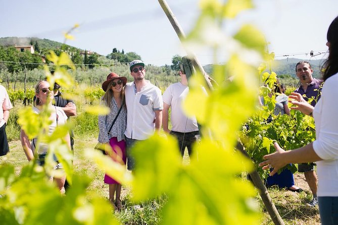 Educational Olive Oil Tasting - The estate walk and the 1625 chapel