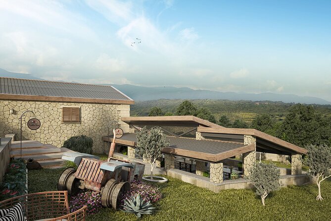 Explore the Secrets of Wine and Olives - Transport, group size, and the seven-hour schedule