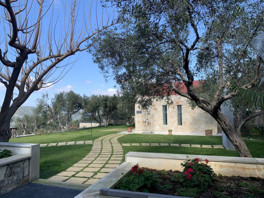 Explore the Secrets of Wine and Olives in Chania - Ano Vouves and a 3,000-year-old olive tree