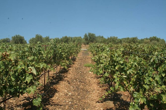 Explore the Secrets of Wine and Olives in Rethymno - Vosakos Monastery and the story behind the stone walls