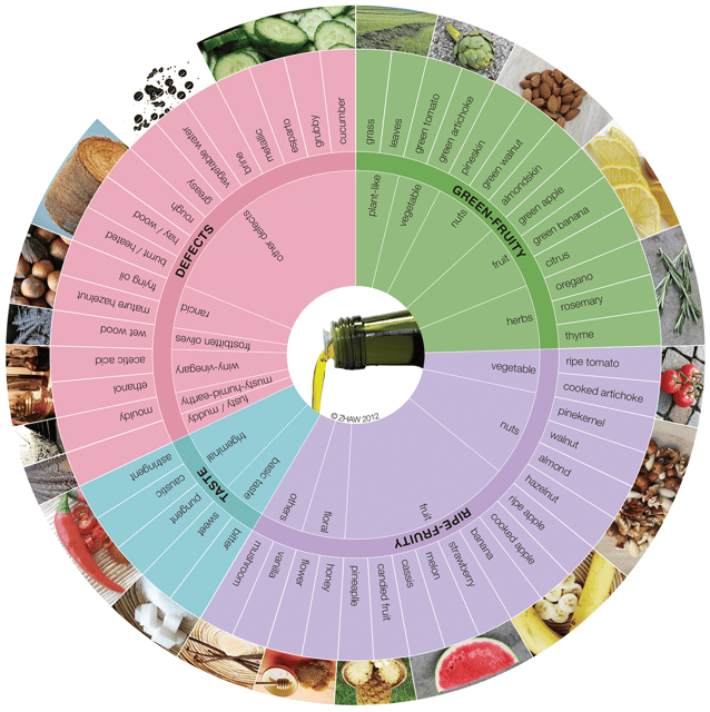 Extra Virgin Olive Oil Experience with Wine & Herbs - What happens during the 40-minute tasting