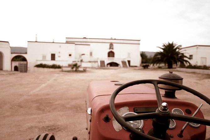 Extra virgin Savoy Tour and olive oil tasting - FASANO - Why this Savoia visit is different