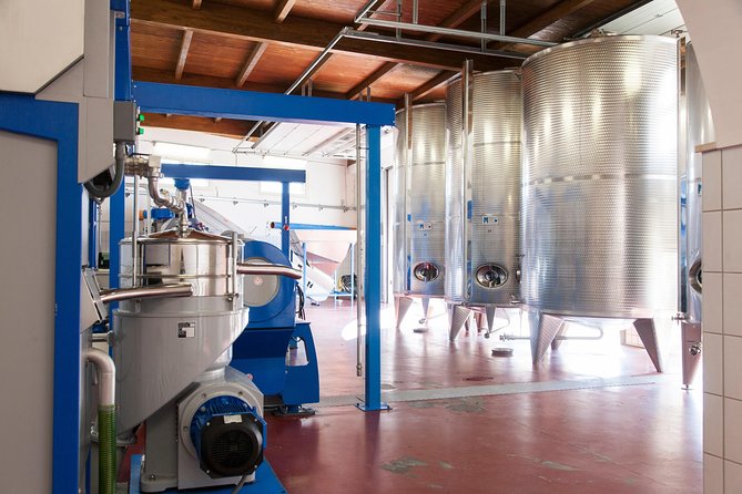 Extra virgin Savoy Tour and olive oil tasting - FASANO - Storage advice that helps at home