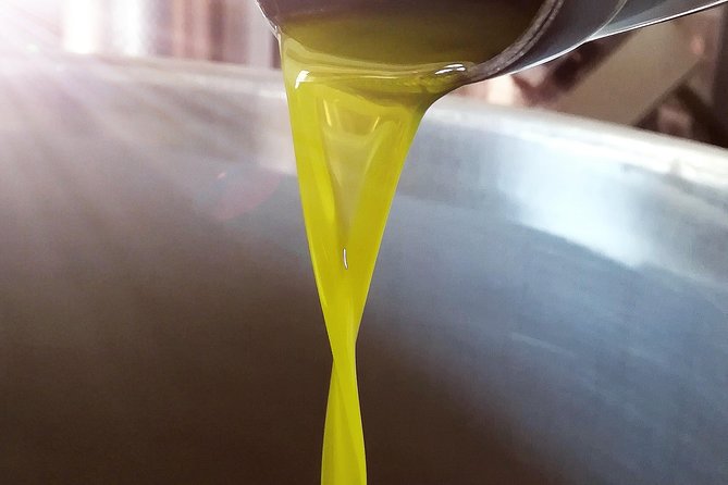 Extra virgin Savoy Tour and olive oil tasting - FASANO - Who will enjoy this most