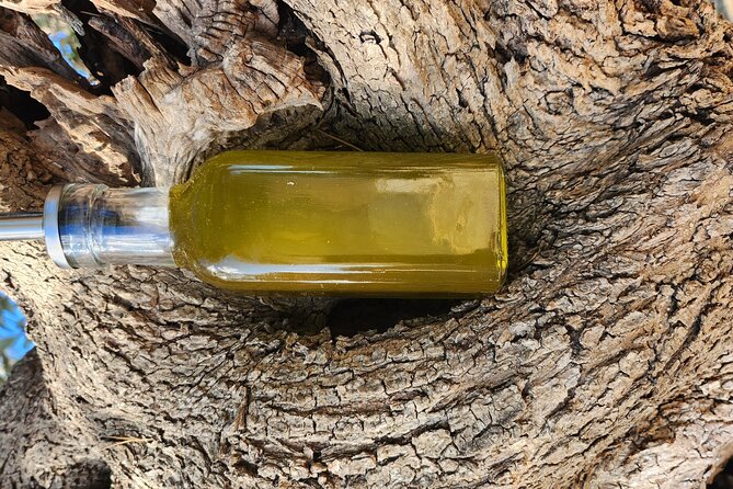 extravirgin olive oil tasting,the story of a farm - Who will enjoy this Puglian farm experience?