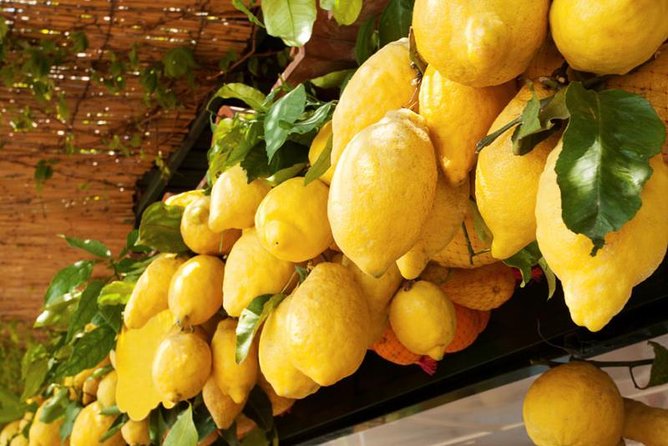 Farm-to-Table Experience: Olive Oil, Garden Tour & Nonna’s Lunch - Who will enjoy this Sorrento outing?