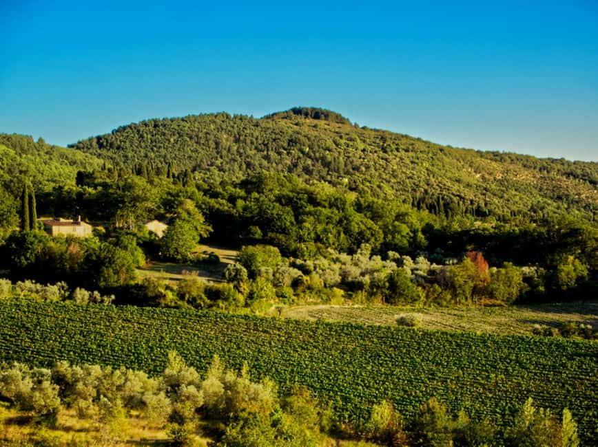 Fiesole E-Bike Tour with Olive Oil Tasting or Pool & Chill - Afternoon route: pool time, wine, and bruschetta