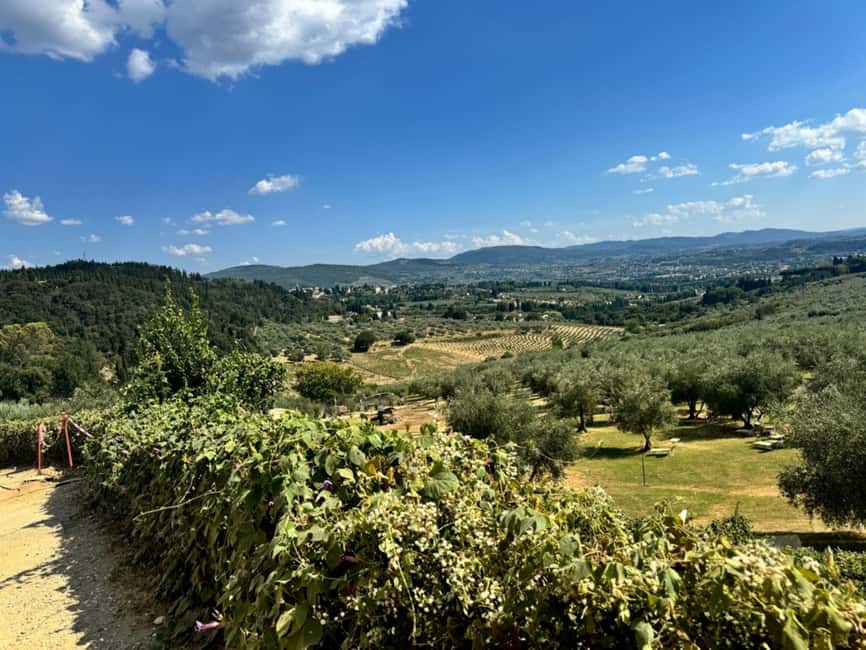 Fiesole E-Bike Tour with Olive Oil Tasting or Pool & Chill - Guides and group dynamics matter here