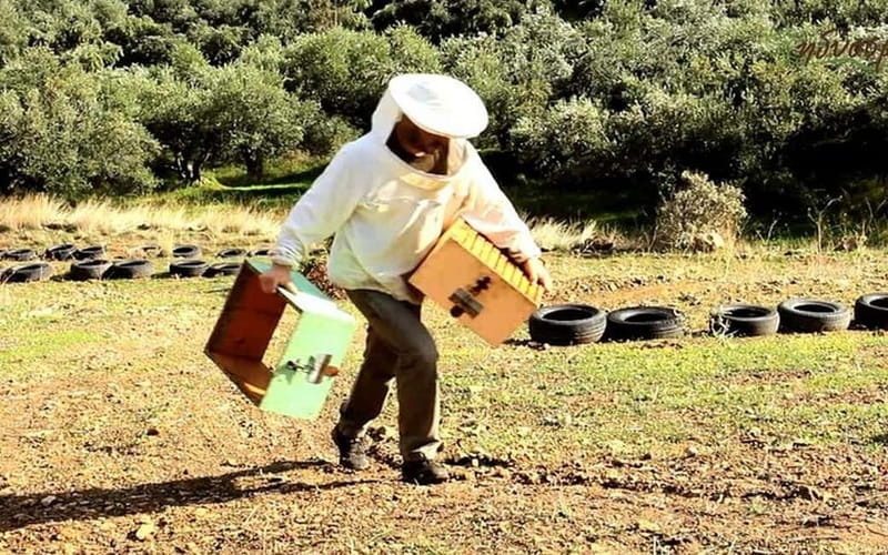 Flavors of Crete from Chania: Wine & Olive Oil Tasting Tour - Key points to know before booking