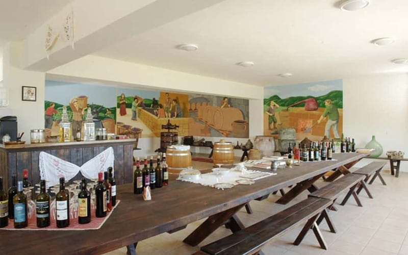 Flavors of Crete from Chania: Wine & Olive Oil Tasting Tour - The return to Chania