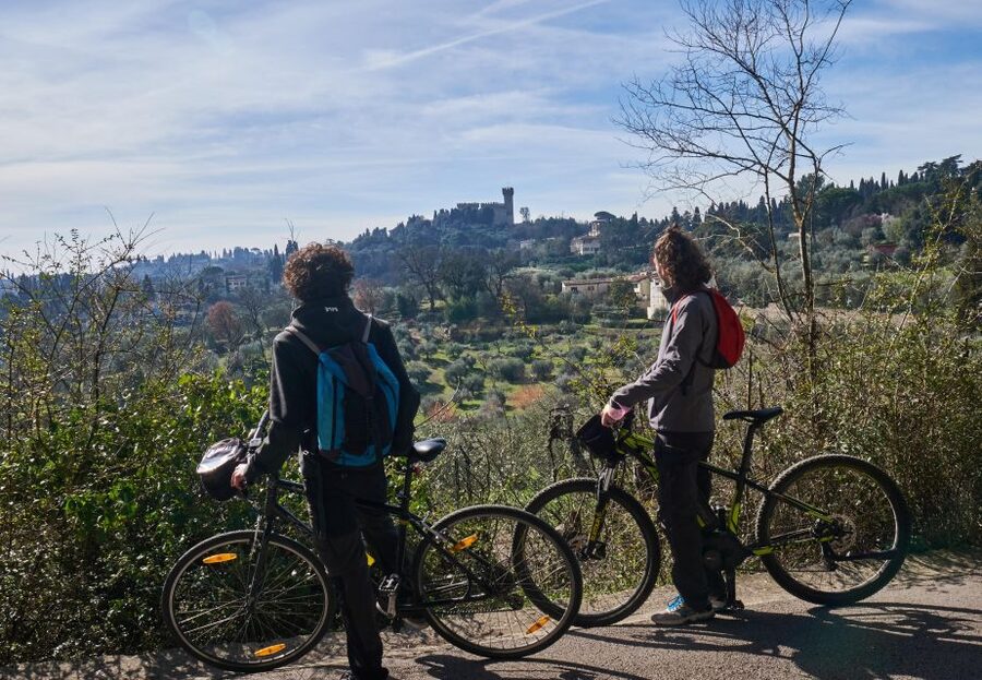 Florence: E-Bike Tour with Olive Oil in the Tuscan Hills - The olive grove stop and what the tasting really includes
