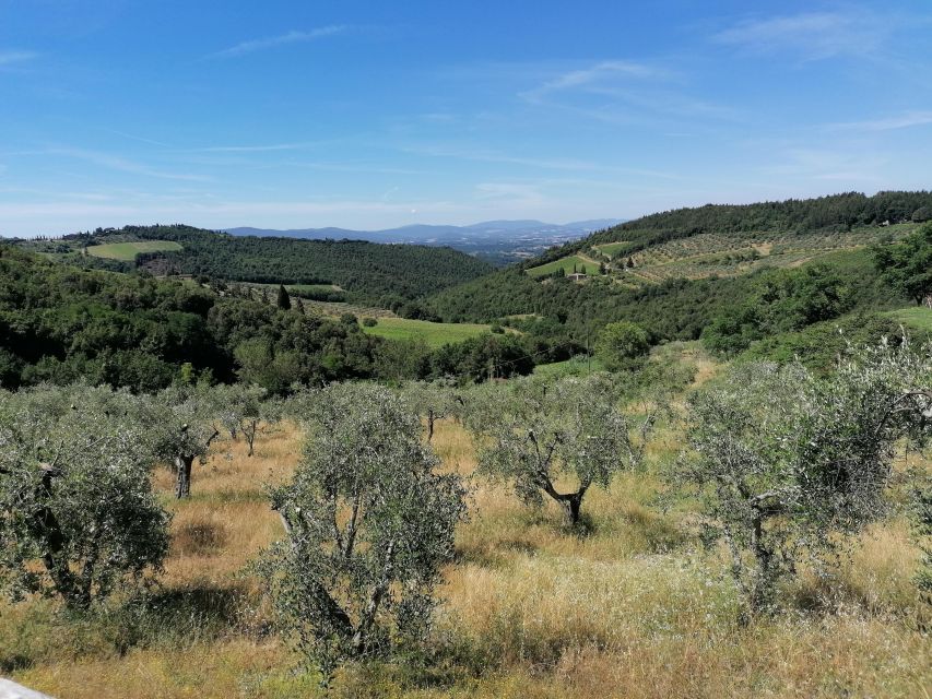 Florence: E-Bike Tour with Olive Oil in the Tuscan Hills - My verdict: book it for the views, not just the oil