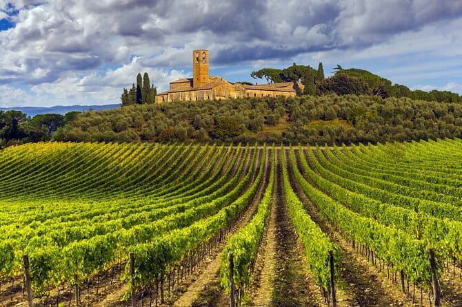 Florence Food Tour: Home-Made Pasta, Truffle, Cantucci, Olive Oil, Gelato - Who should book this Florence food tour