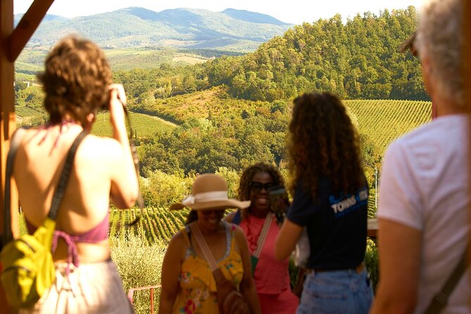 Florence: Great Chianti Wine and Olive Oil Trail with Lunch - Three wineries, three different views of Tuscan wine