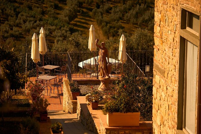 Florence: Great Chianti Wine and Olive Oil Trail with Lunch - Learning to taste wine without the fuss