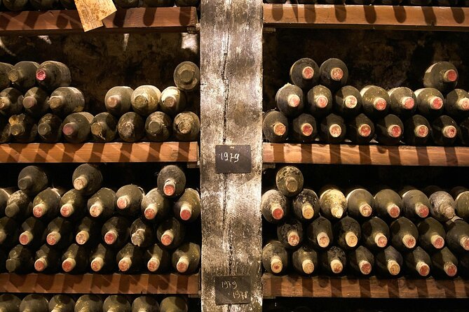 Florence: Great Chianti Wine and Olive Oil Trail with Lunch - A three-course lunch at a boutique winery