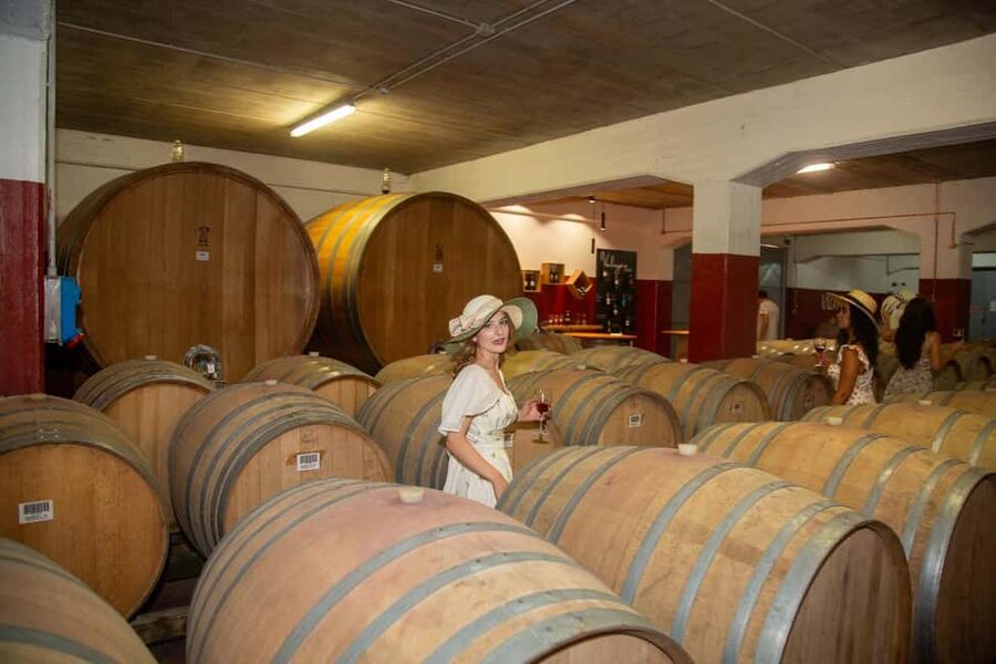 Florence: The secret of wine, cheese and olive oil at a farm - A farmhouse among vineyards and olive groves