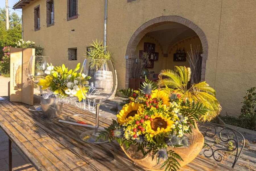 Florence: The secret of wine, cheese and olive oil at a farm - What the $94 price really covers