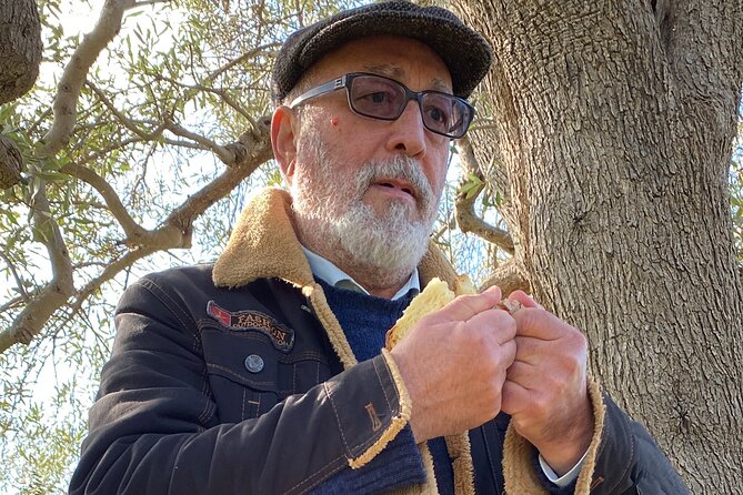 Food and Wine Tour between the Patriarchs Olives and the Oil Temples - Tasting Lucanian specialties with Primitivo wine