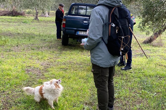 Food and Wine Tour between the Patriarchs Olives and the Oil Temples - The route’s rough edges and safety concerns