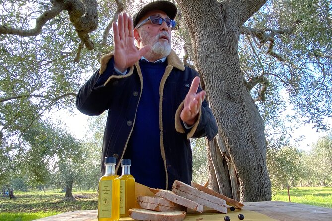 Food and Wine Tour between the Patriarchs Olives and the Oil Temples - Is $50.41 a fair price?