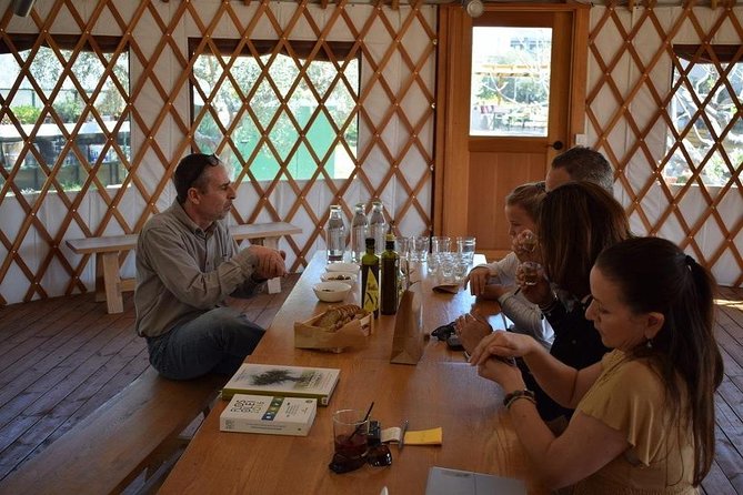 From Athens: Olive Oil Tasting, Olive Grove & Wine Experience - Private transport and group size