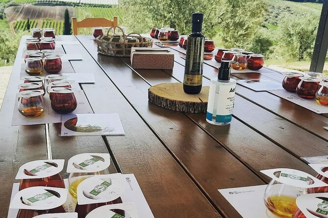 From Athens: Olive Oil Tasting, Olive Grove & Wine Experience - Should you book this olive oil tour?