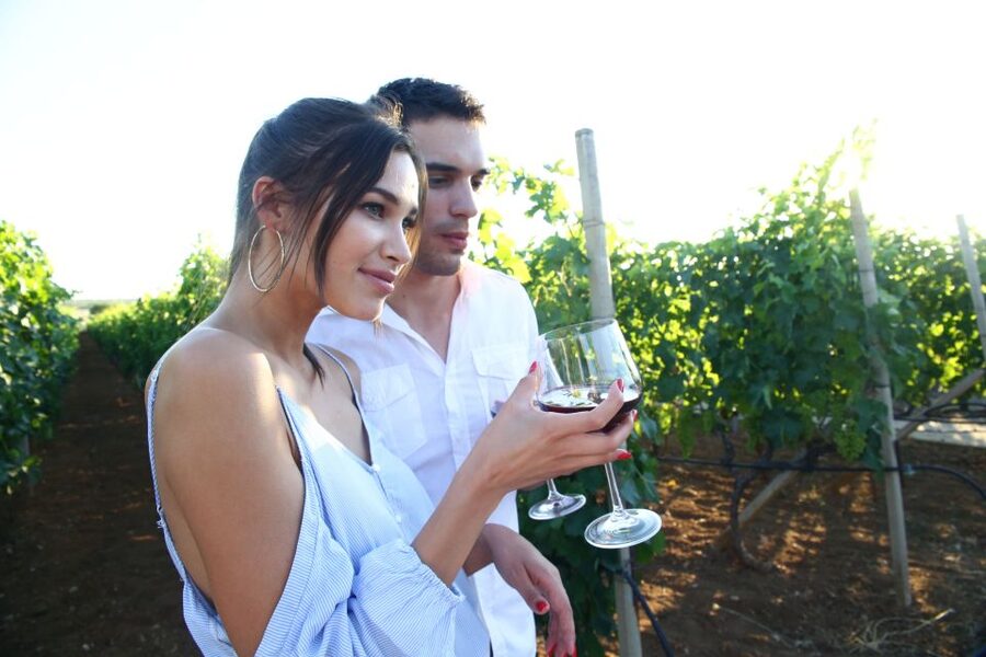 From Biograd: Wine and Olive Oil Tasting in Ražnjevića Dvori - Walking through the gardens, vineyard, and old buildings