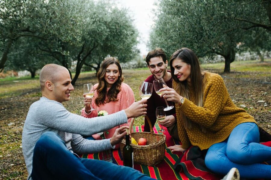 From Biograd: Wine and Olive Oil Tasting in Ražnjevića Dvori - What the two-hour tasting is really like