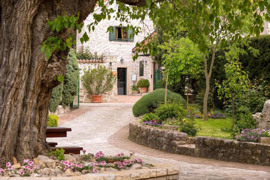 From Biograd: Wine and Olive Oil Tasting in Ražnjevića Dvori - Is $57 a fair price?