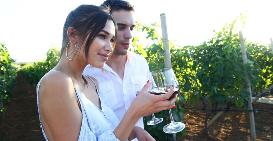 From Biograd: Wine and Olive Oil Tasting in Ražnjevića Dvori - The short ride from Biograd to Polača