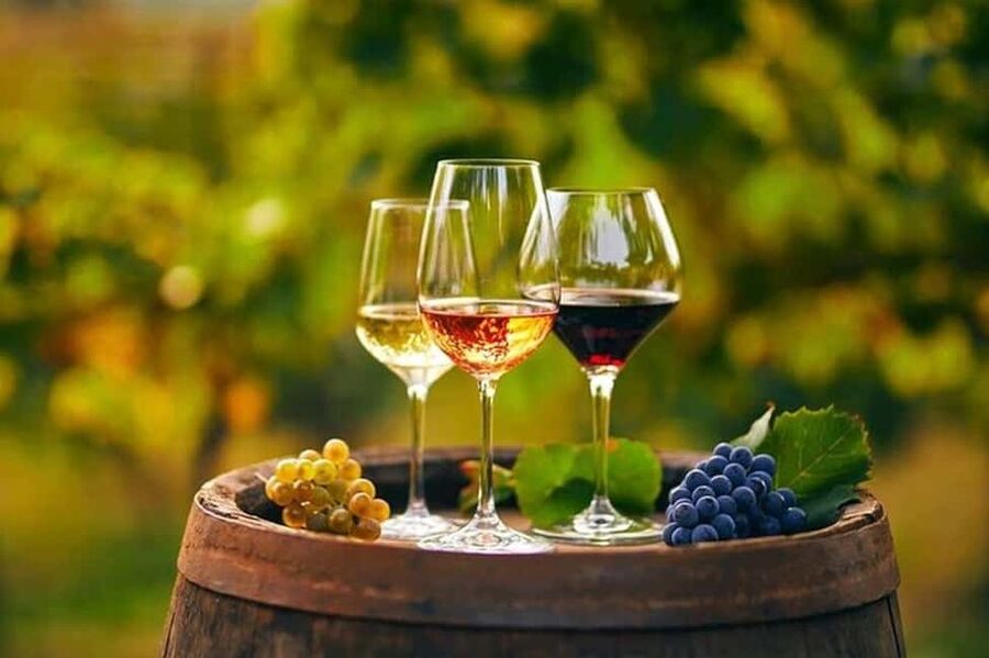 From Chania: Olive Oil, Wine, Cheese & Honey Tasting Tour - Key points to know before booking