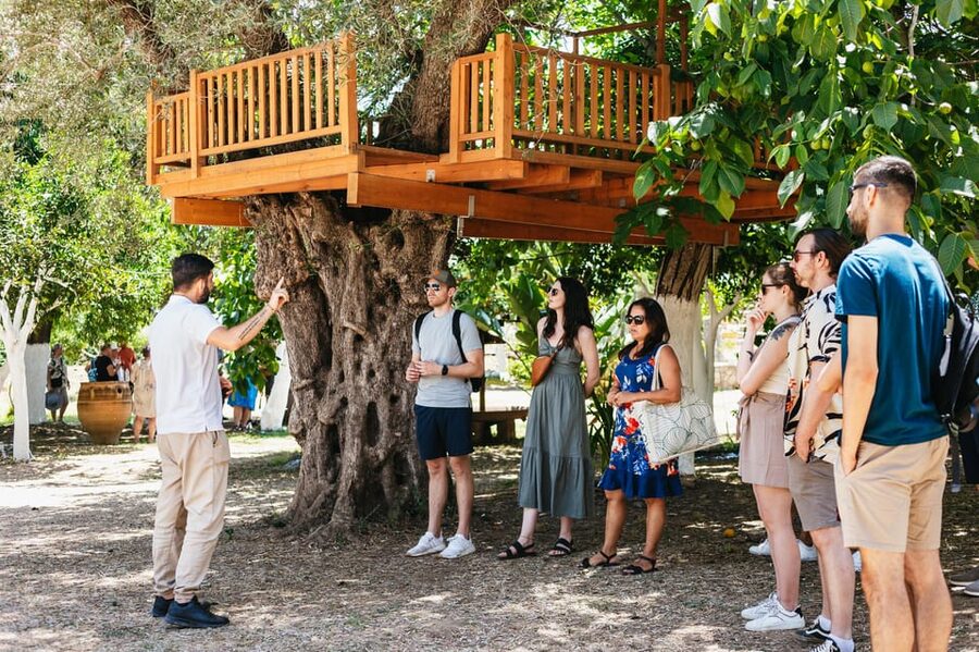 From Chania: Wine and Olive Oil Tasting Tour with Snacks - Why this Chania wine tour feels different