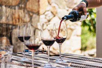 Wine and Olive Oil Tasting Tour with Snacks