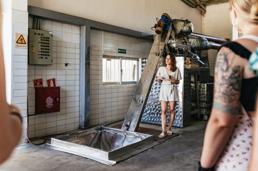 From Chania: Wine and Olive Oil Tasting Tour with Snacks - The olive oil factory: from fruit to extra virgin oil