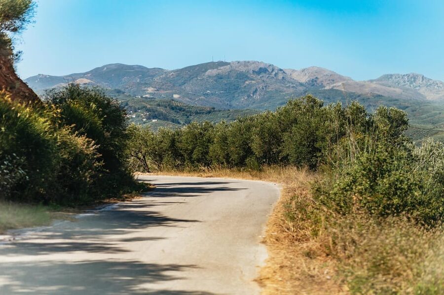 From Chania: Wine and Olive Oil Tasting Tour with Snacks - The second winery and a fuller Cretan tasting