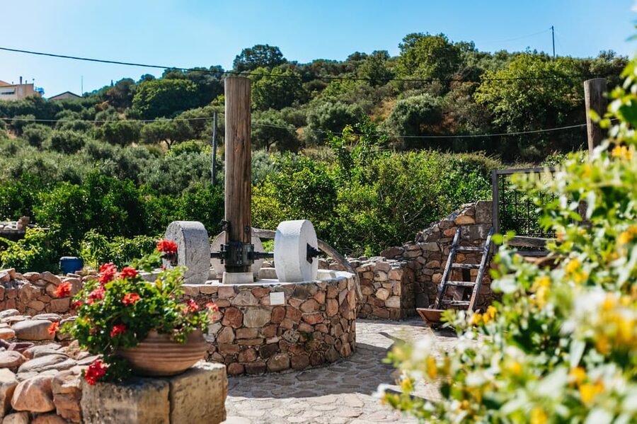 From Chania: Wine and Olive Oil Tasting Tour with Snacks - Should you book the Chania wine and olive oil tour?
