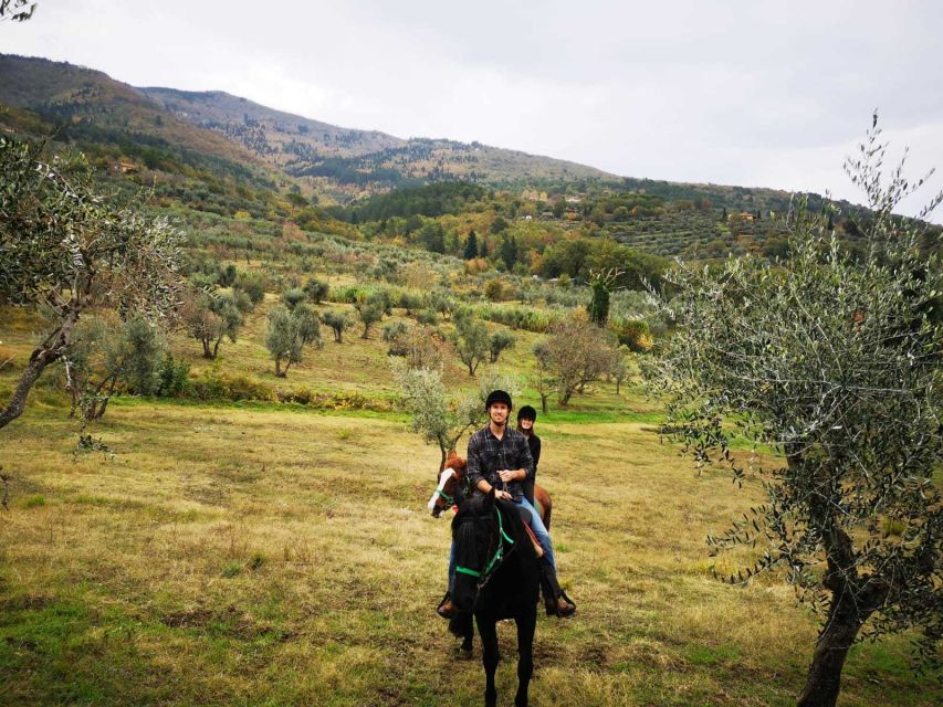 From Florence: Horseback Ride and Olive Oil and food tasting - Choosing your horse and learning the basics