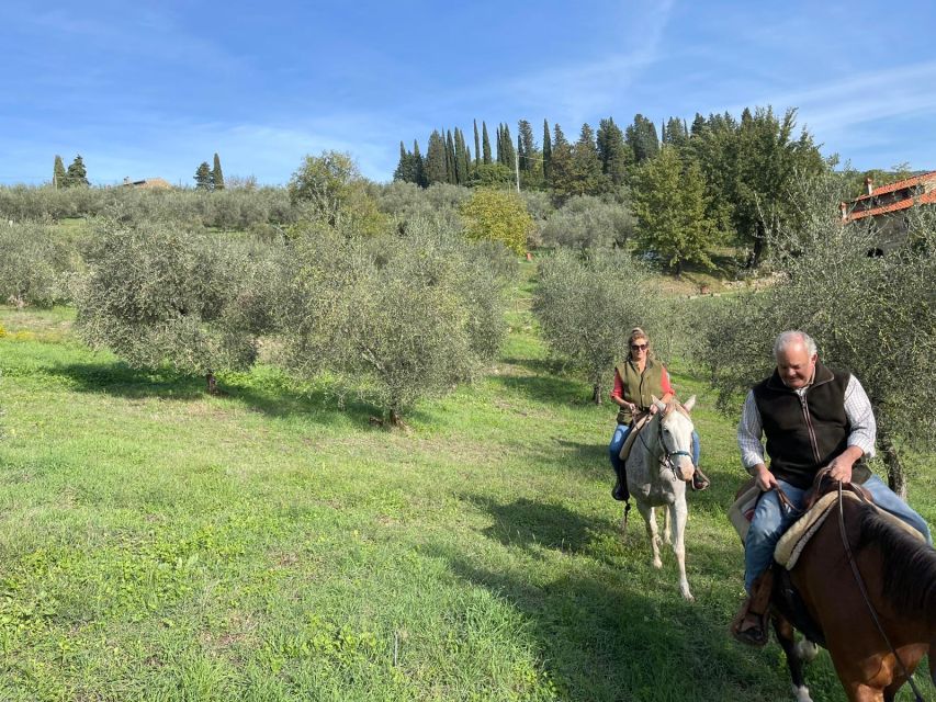 From Florence: Horseback Ride and Olive Oil and food tasting - Learning to taste extra-virgin olive oil