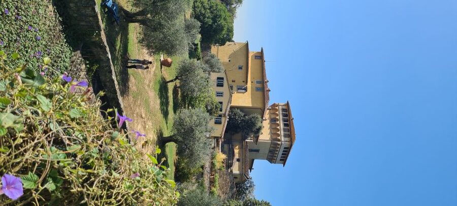 From Florence: Horseback Ride and Olive Oil and food tasting - What the $377 price really covers