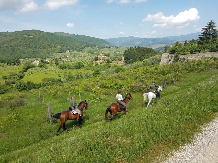 From Florence: Horseback Ride and Olive Oil and food tasting - Should you book the horseback and olive oil tour?