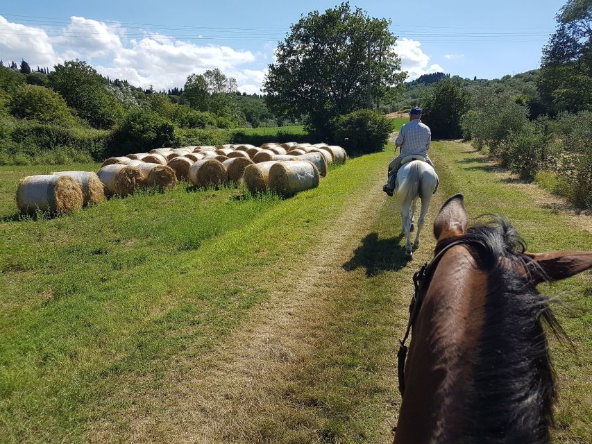 From Florence: Horseback Ride and Olive Oil and food tasting - One hour among vineyards and olive groves