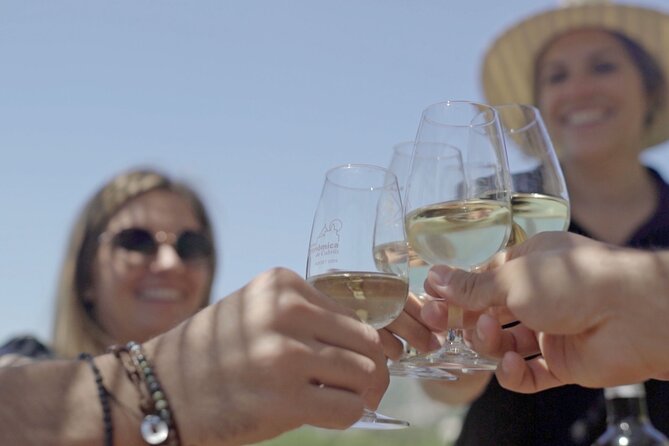 From Malaga: Ronda, Wine & Olive Oil Tasting Premium Small Group - Why this Malaga to Ronda day trip works