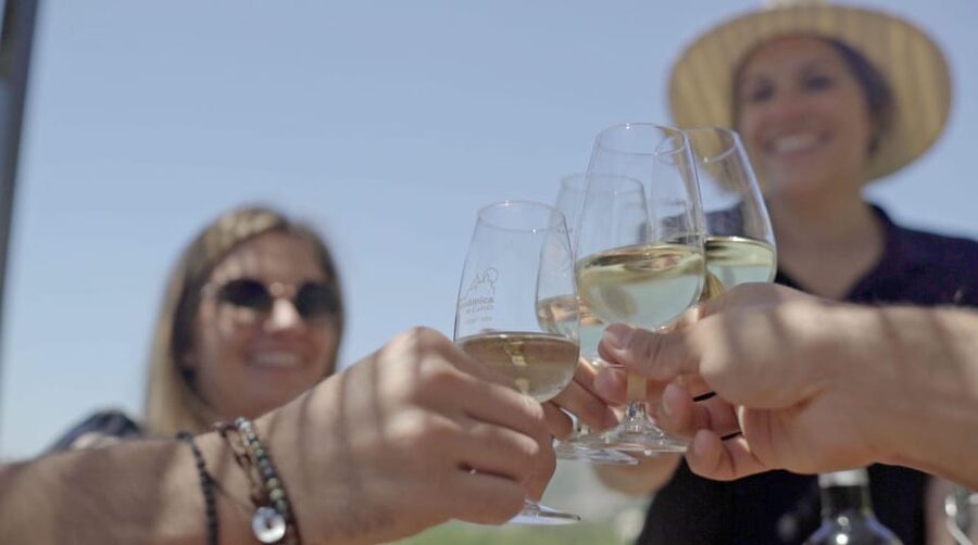 From Málaga: Ronda, Wine & Olive Oil Tasting Small Group - Key points at a glance