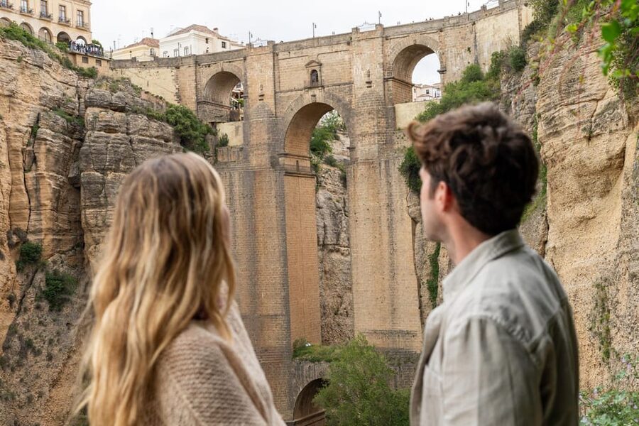 From Málaga: Ronda, Wine & Olive Oil Tasting Small Group - The ride from Málaga and the value of a small group