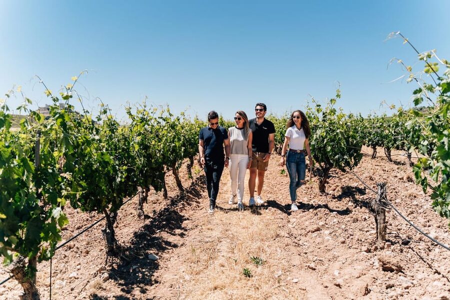 From Málaga: Ronda, Wine & Olive Oil Tasting Small Group - One hour with a guide, then 90 minutes on your own